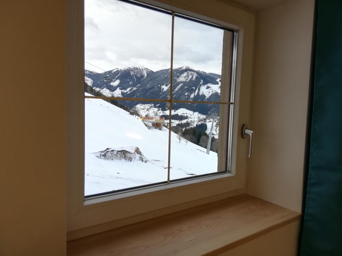 Laerchenreith Appartement 斯拉德明 外观 照片